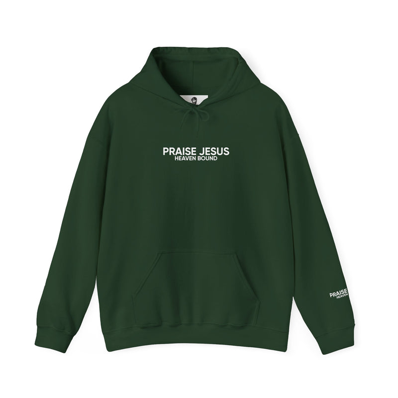 PRAISE JESUS X HEAVEN BOUND HOODIE
